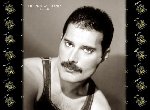 Fond d'écran gratuit de Freddie Mercury numéro 37854
