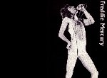 Fond d'écran gratuit de Freddie Mercury numéro 48629