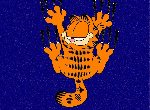 Fond d'écran gratuit de Garfield numéro 53565