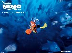 Fond d'écran gratuit de Le Monde De Nemo numéro 50423