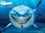 Fond d'écran gratuit de Le Monde De Nemo numéro 52709