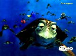 Fond d'cran gratuit de Le Monde De Nemo numro 46416