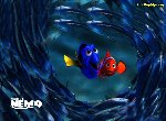 Fond d'écran gratuit de Le Monde De Nemo numéro 36531
