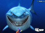 Fond d'écran gratuit de Le Monde De Nemo numéro 37238