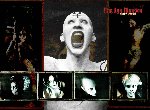 Fond d'écran gratuit de Marilyn Manson numéro 44243