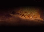Fond d'écran gratuit de Mission To Mars numéro 37201