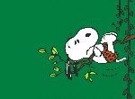 Fond d'écran gratuit de Snoopy numéro 40522