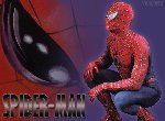 Fond d'écran gratuit de Spider Man numéro 39013