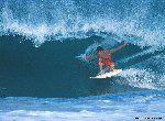 Fond d'cran gratuit de Surf numro 57172