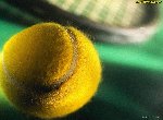 Fond d'écran gratuit de Tennis numéro 46203