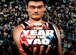 Fond d'écran gratuit de Year Of The Yao numéro 53911