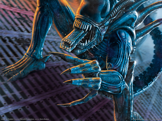 Fond d'écran gratuit de A − C - Alien vs Predator numéro 59267